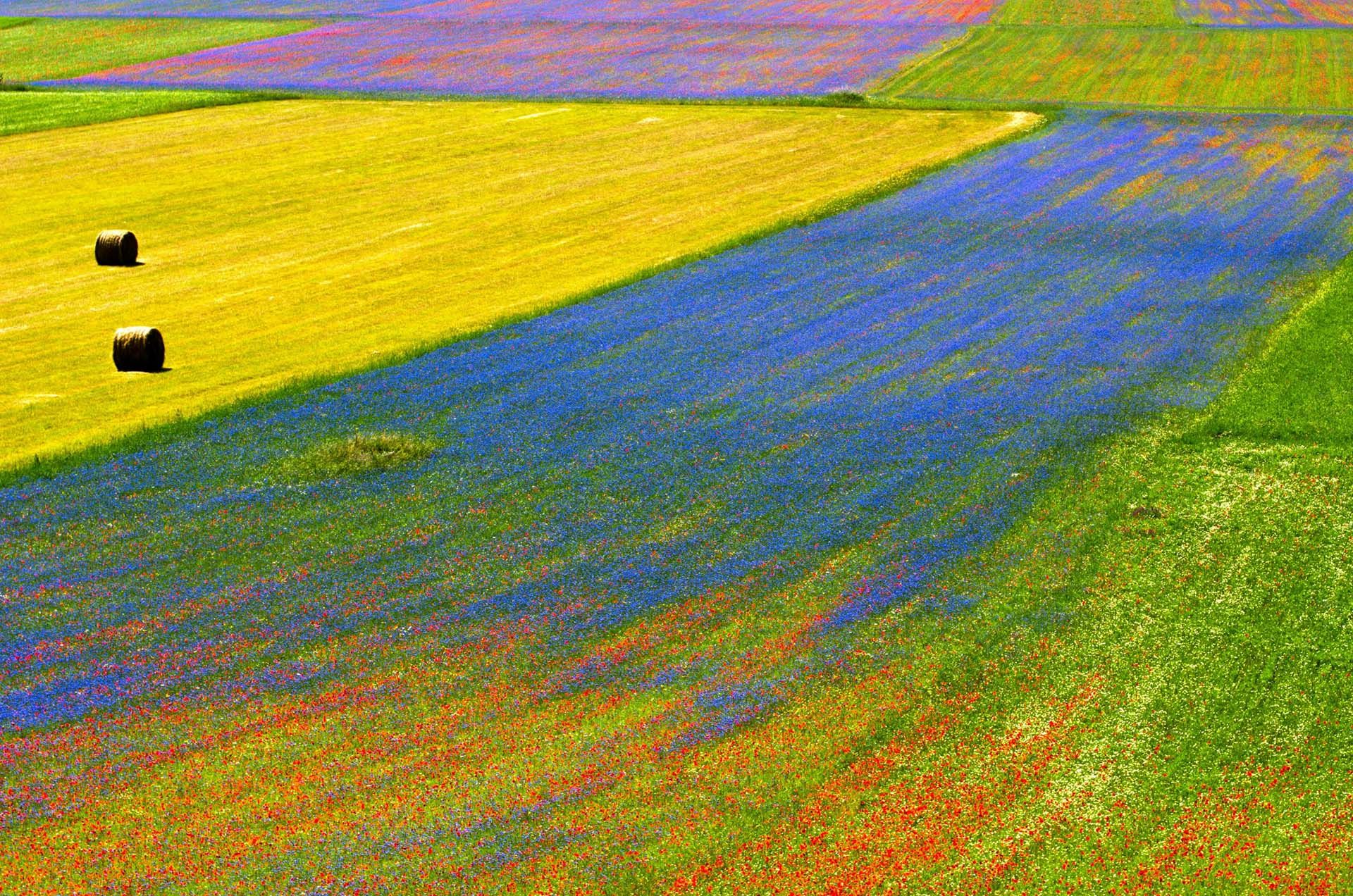 Castelluccio